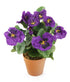 Artificial 30cm Purple Pansy Plug Plant